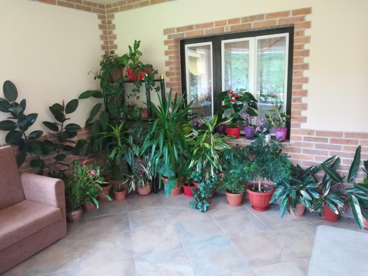Pensiunea Colt Alb Baile Homorod Luaran gambar